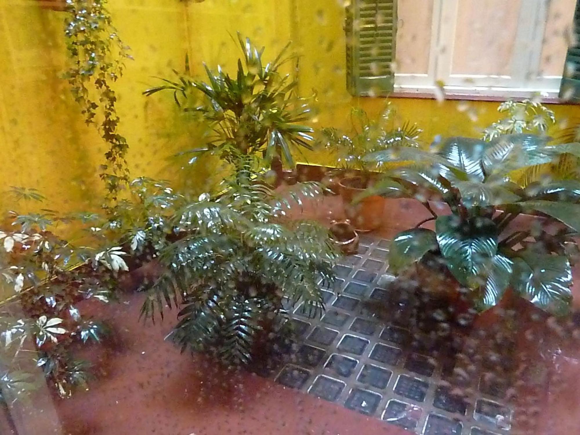 Via Arriba B&B Buenos Aires Esterno foto